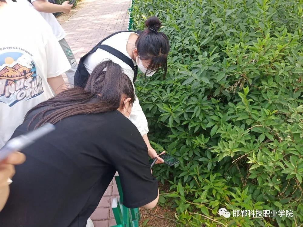 微信图片_20210603153339.jpg